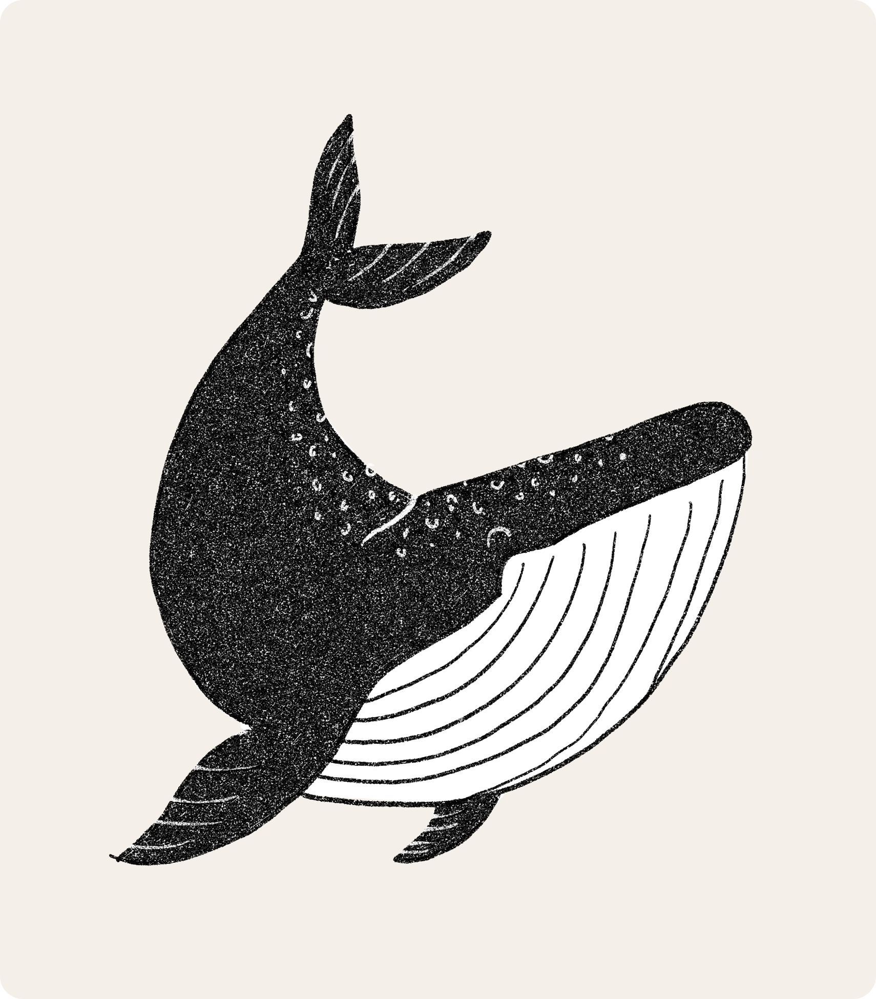 Illustration of a whale.